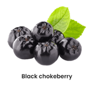 blackchokeberry