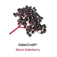 blackelderberry